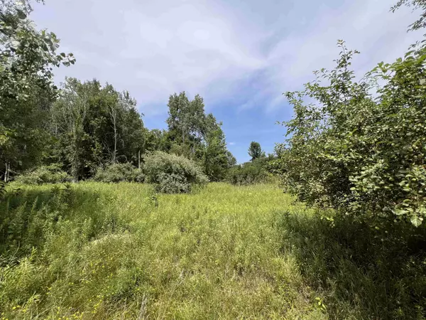 Mount Pleasant, MI 48858,Lot 11 McDonald Drive