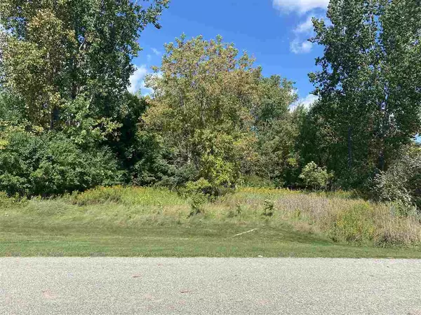 Mount Pleasant, MI 48858,Lot 11 McDonald Drive