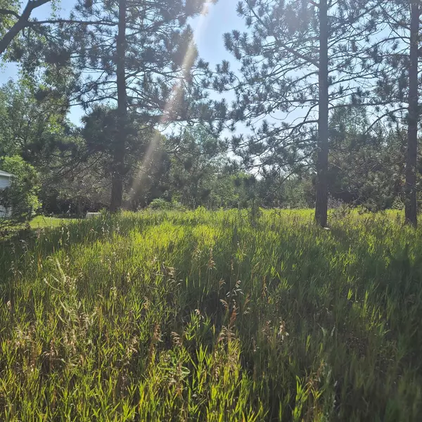 Fife Lake, MI 49633,0002 M-66 SE