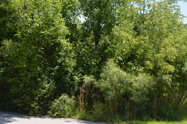 Mount Pleasant, MI 48858,TBD Rose Marie Lane