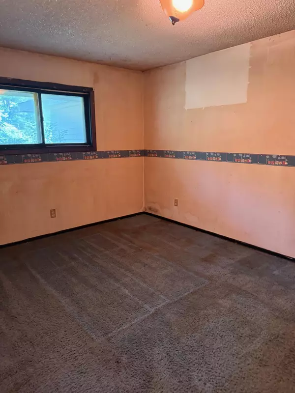 Mount Pleasant, MI 48858,9575 E Broomfield Road
