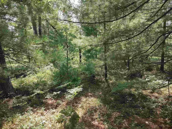 Alger, MI 48610,Lot 186 Winterset Drive