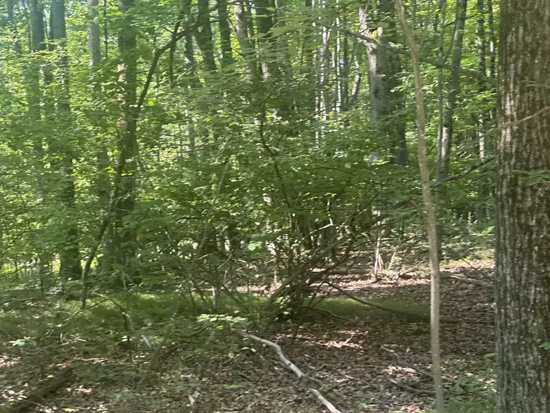 Lot # 179 Mockingbird Circle, Farwell, MI 48622