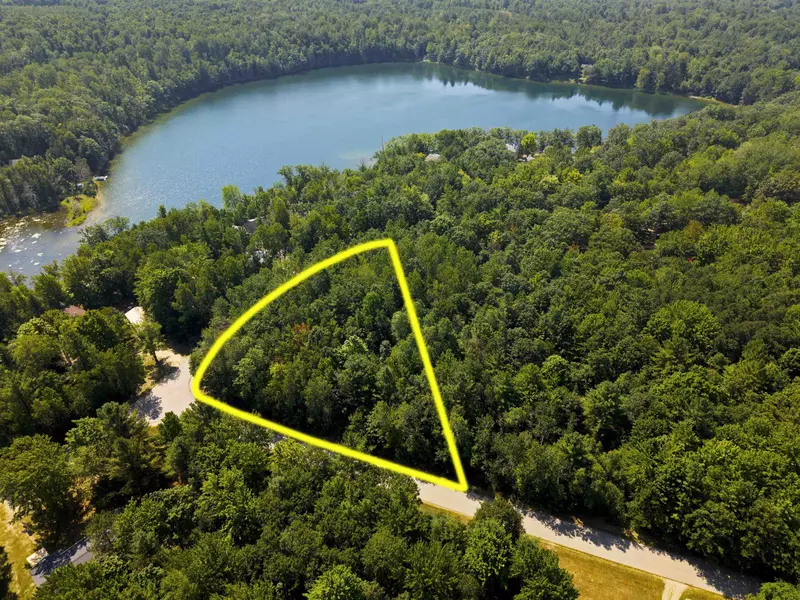 11755 NE Eagle Lane, Mancelona, MI 49659-9254