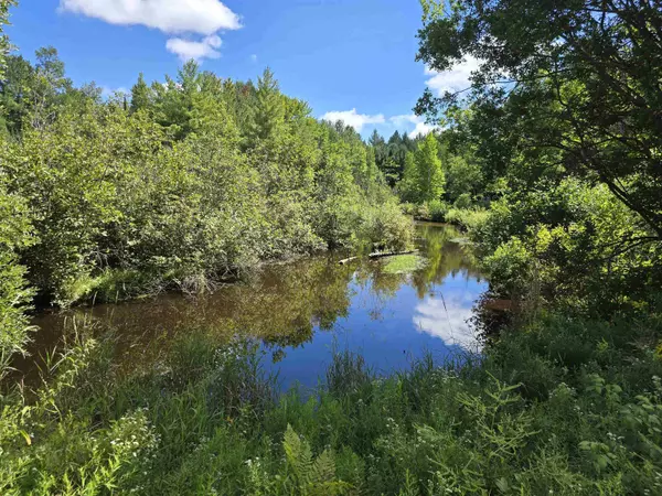 Kalkaska, MI 49646,00 SW Terrace Boulevard