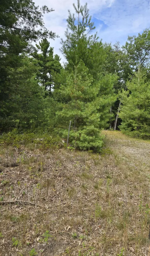 4699 Johnson Road, Oscoda, MI 48750-0000