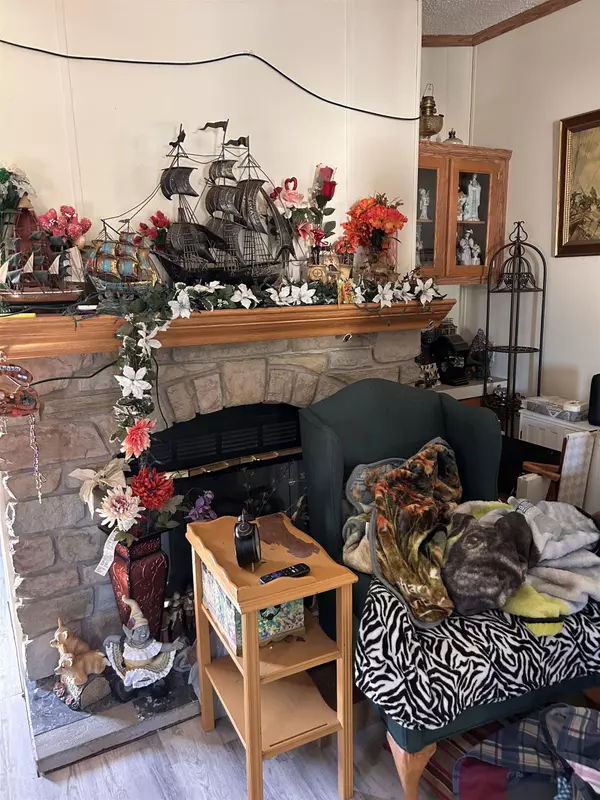 Mount Pleasant, MI 48858,5460 E Lilly Lane