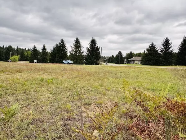 Mancelona, MI 49659,9091 NE Cumberland Drive