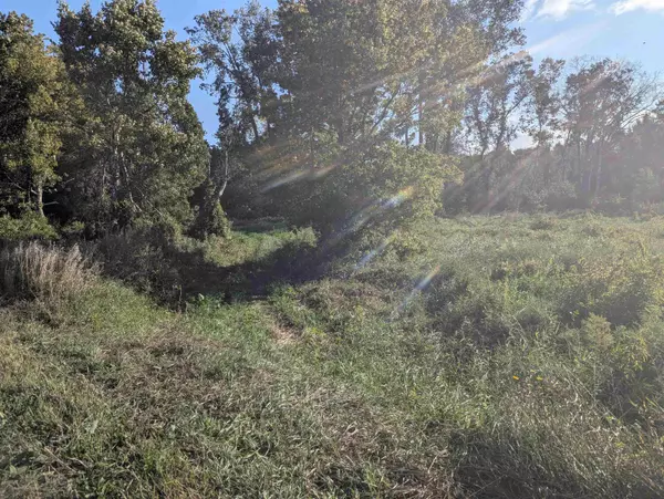 Tawas City, MI 48763,N/A Andrews Road