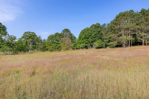 Frankfort, MI 49635,0 Elm Street