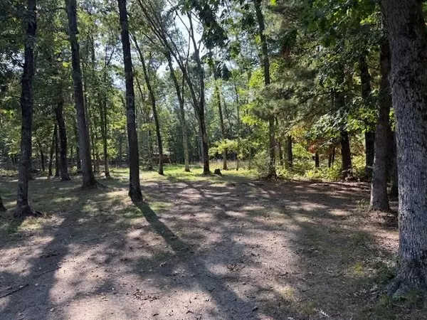 Irons, MI 49644,7861 N Bass Lake Road