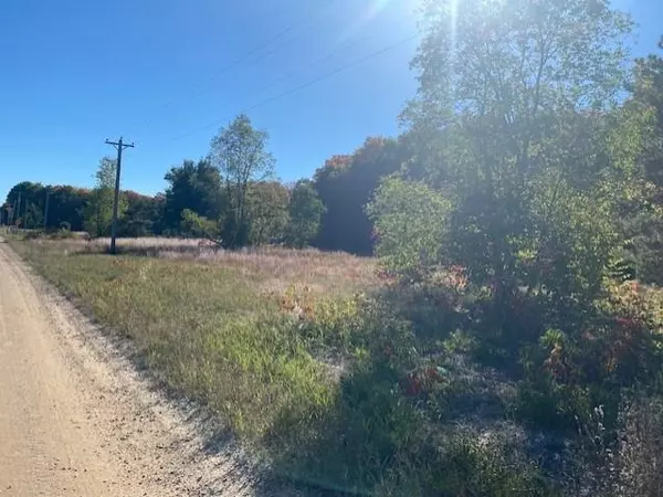 Mancelona, MI 49659,7597 NE Day Road