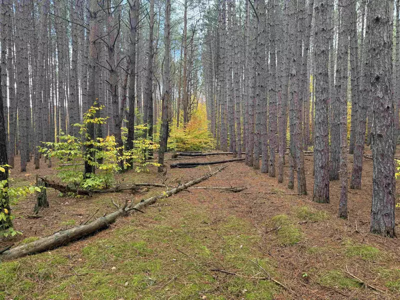 0 Deer Run Drive, Cadillac, MI 49601