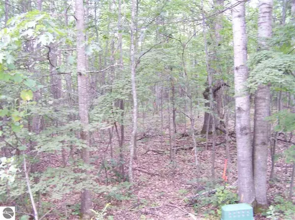 Farwell, MI 48622,N Circle E