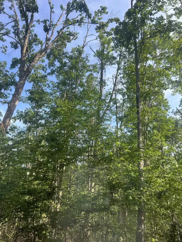 Mancelona, MI 49659,Lot 388 Wyndwood Drive