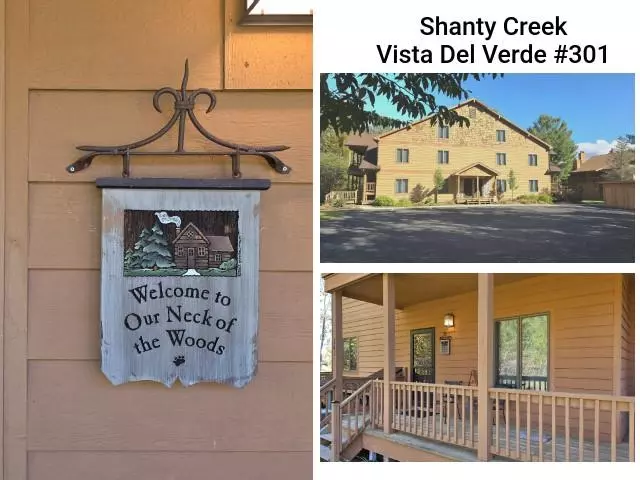 2050 W Schuss Mountain Drive, Bellaire, MI 49615