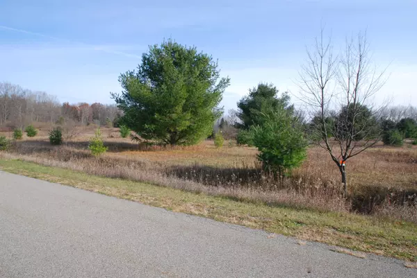 Alger, MI 48610,Lot 37 Mallard Drive