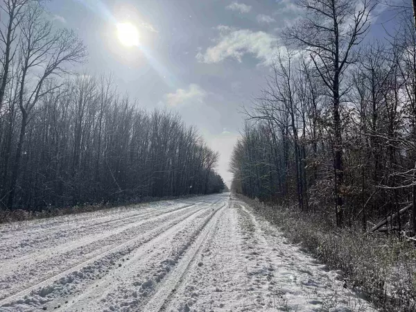 Bear Lake, MI 49614,Big Four Road