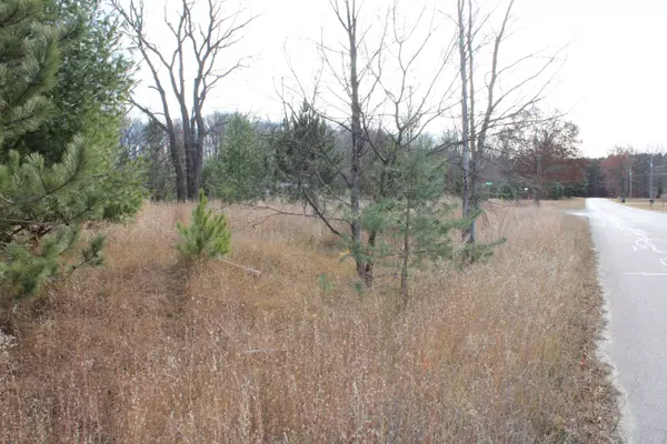 Buckley, MI 49620,Indian Trail