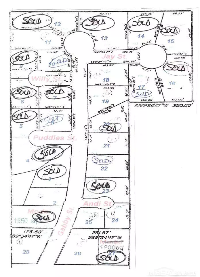 Croswell, MI 48422,0 ANDI STREET LOT 24 Street