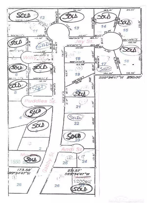 0 ANDI STREET LOT 25 Street, Croswell, MI 48422
