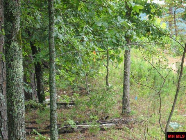Elizabeth, AR 72531,Lot 5 BOGGY POINT COVE
