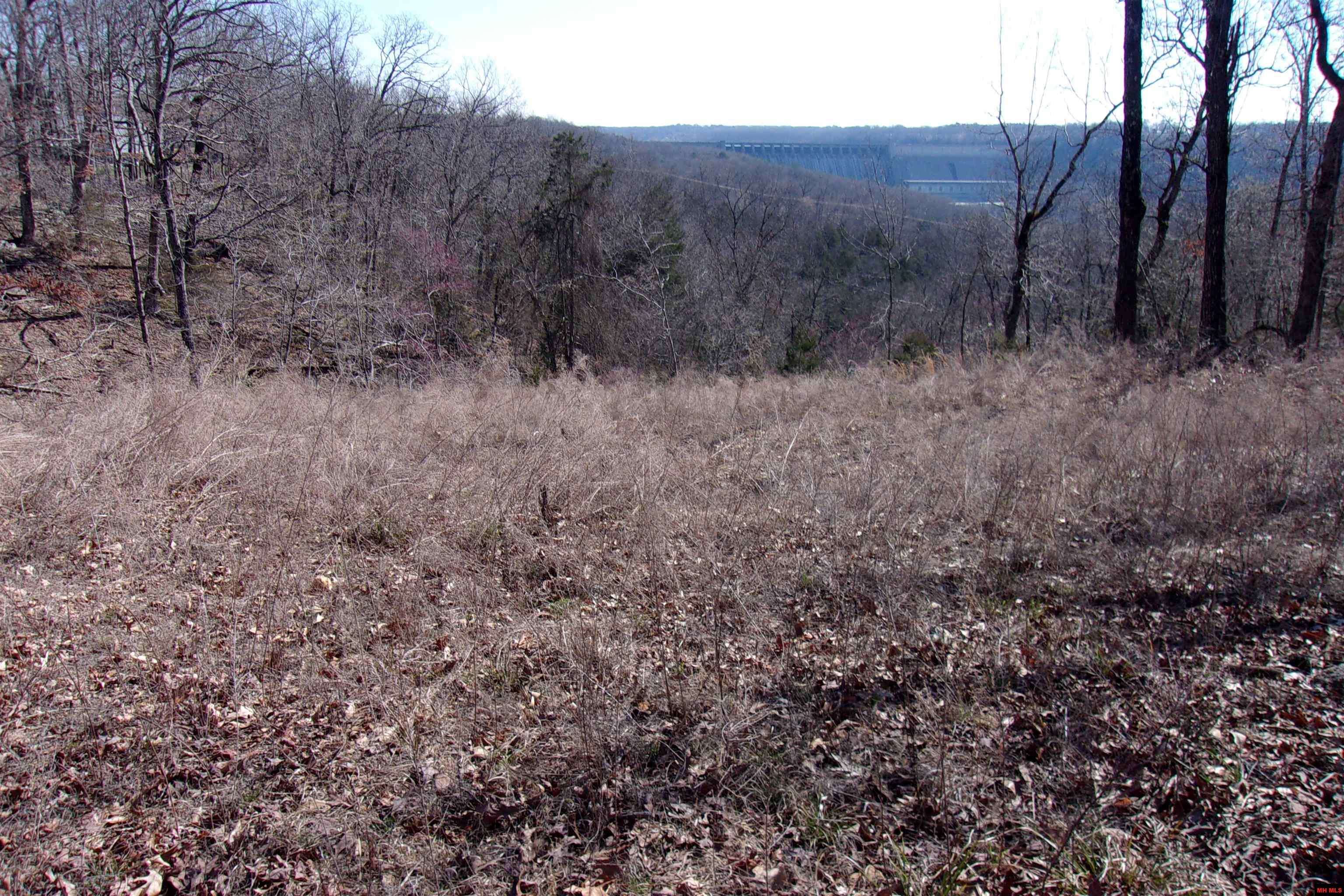 760-22311-000 COUNTRY CLUB DRIVE, Bull Shoals, AR 72619-0000