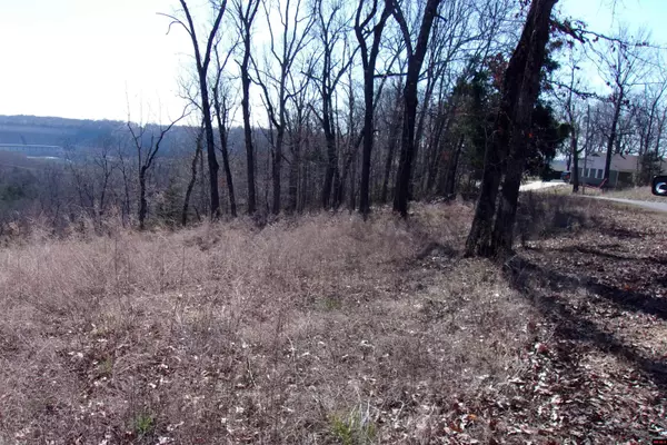 Bull Shoals, AR 72619-0000,Lot 14 COUNTRY CLUB DRIVE