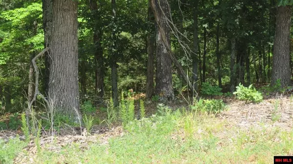 Lot 19 CR 15, Mountain Home, AR 72653