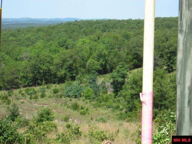 100 TERRY LANE, Lead Hill, AR 72644