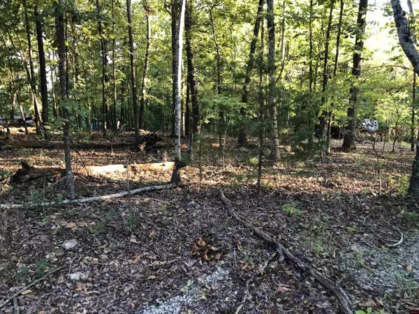 Bull Shoals, AR 72619,Lot 6, Blk 82 SHORECREST DRIVE