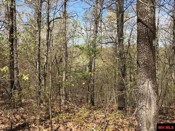 Flippin, AR 72634,001-00341-000 MC 6072