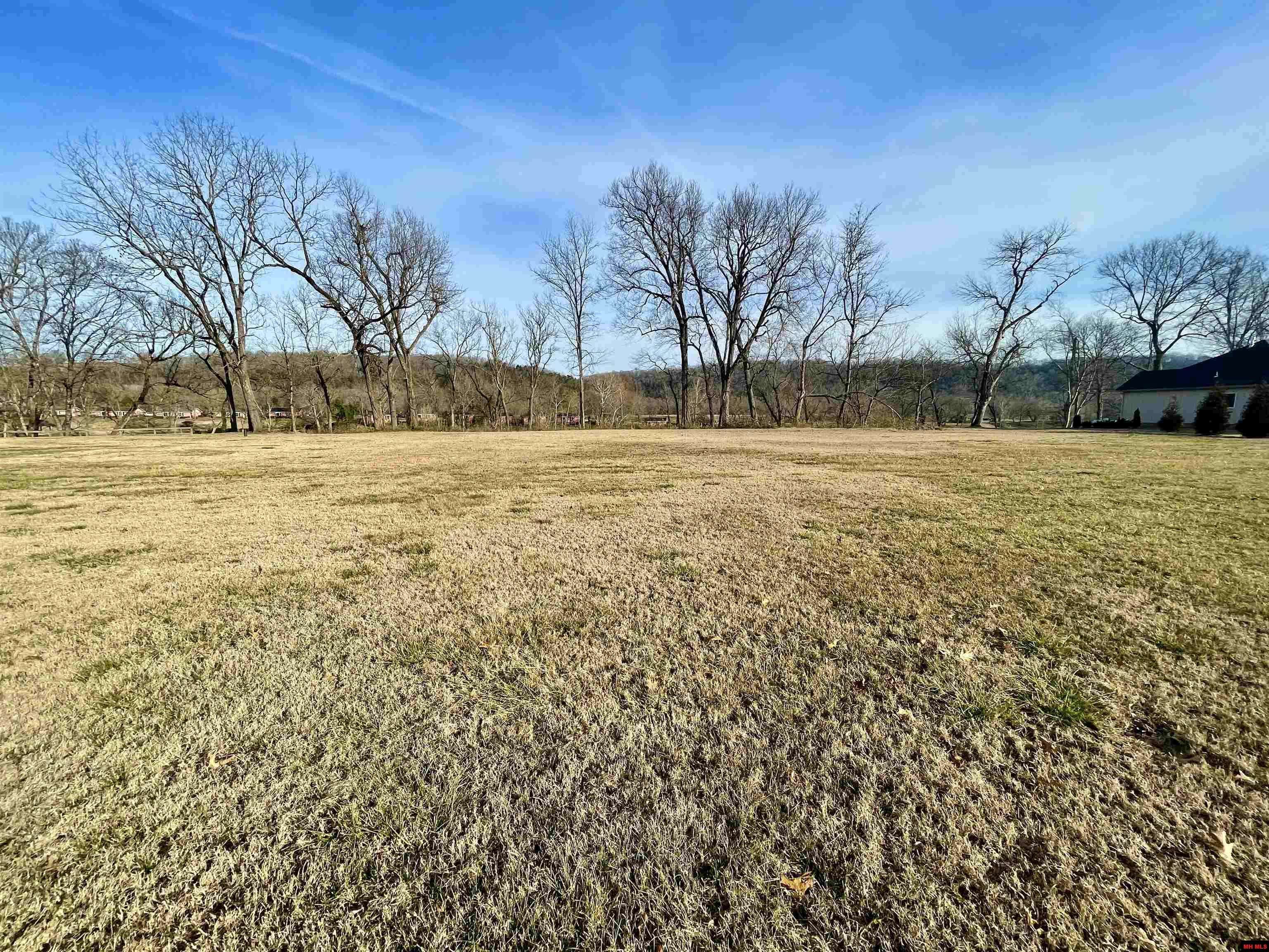 Flippin, AR 72634,Lot 21 CANE ISLAND ROAD