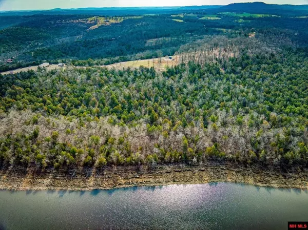 Yellville, AR 72687,188 TIMBER LANE