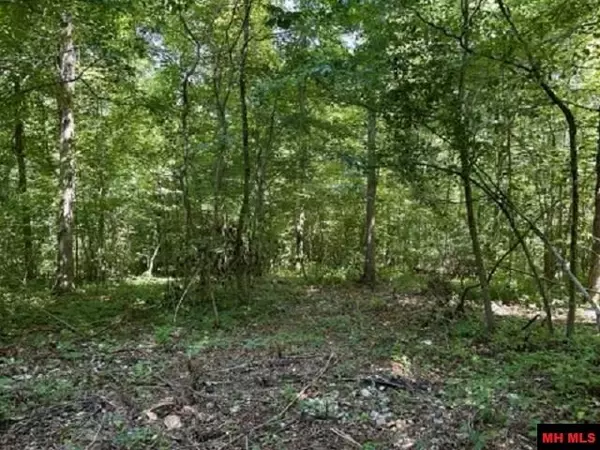 Harriet, AR 72639,001-03393-017 HWY 14 SOUTH