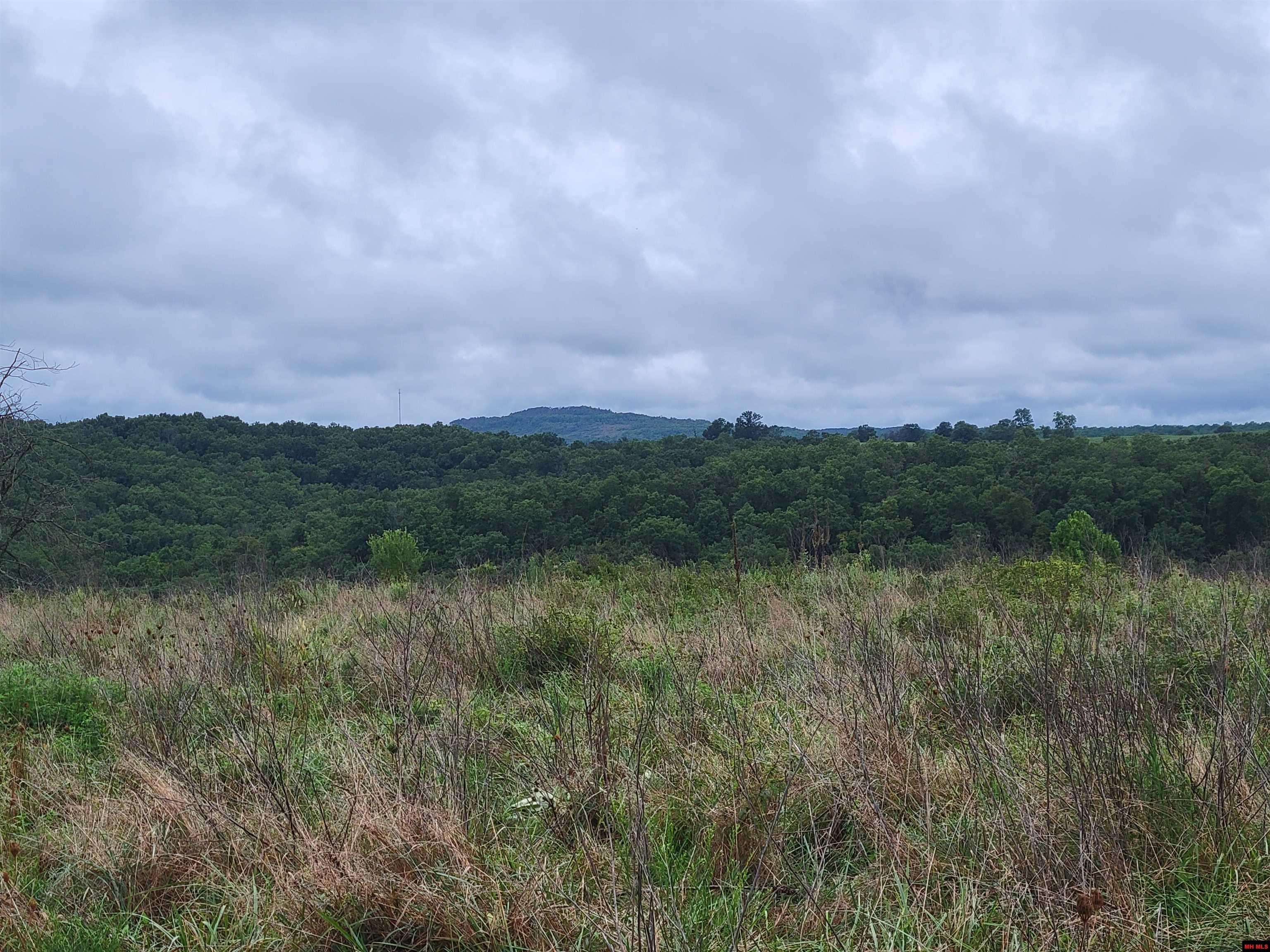 Thornfield, MO 65762,CR 837