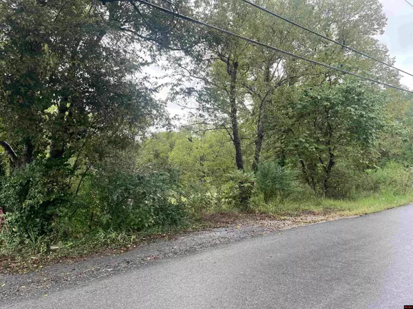 Yellville, AR 72687,300 FALLEN ASH ROAD