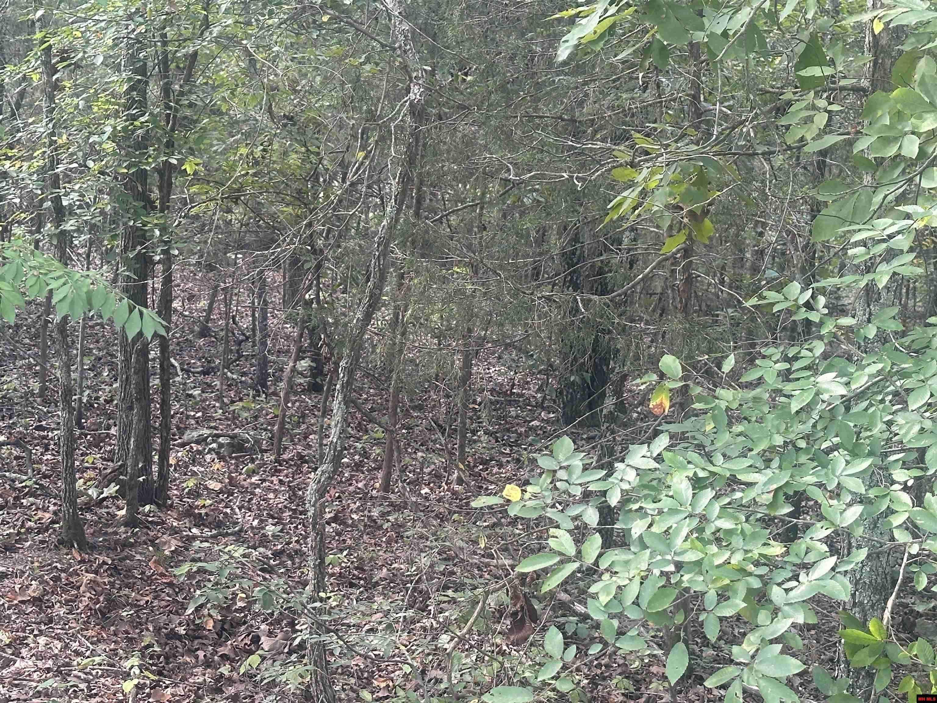 Horseshoe Bend, AR 72512,301 W LANSING AVENUE