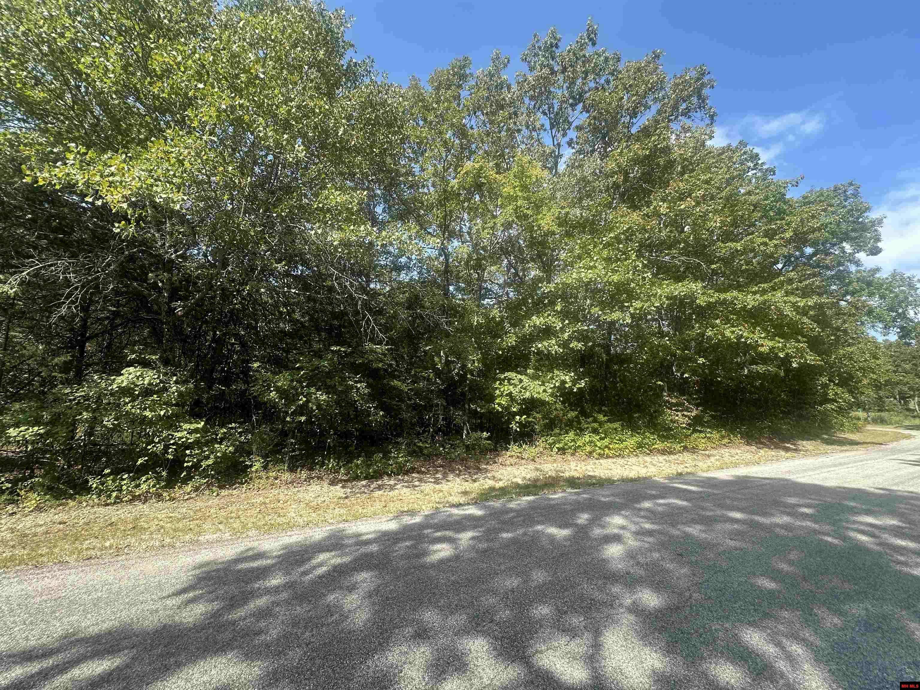 Horseshoe Bend, AR 72512,301 W LANSING AVENUE