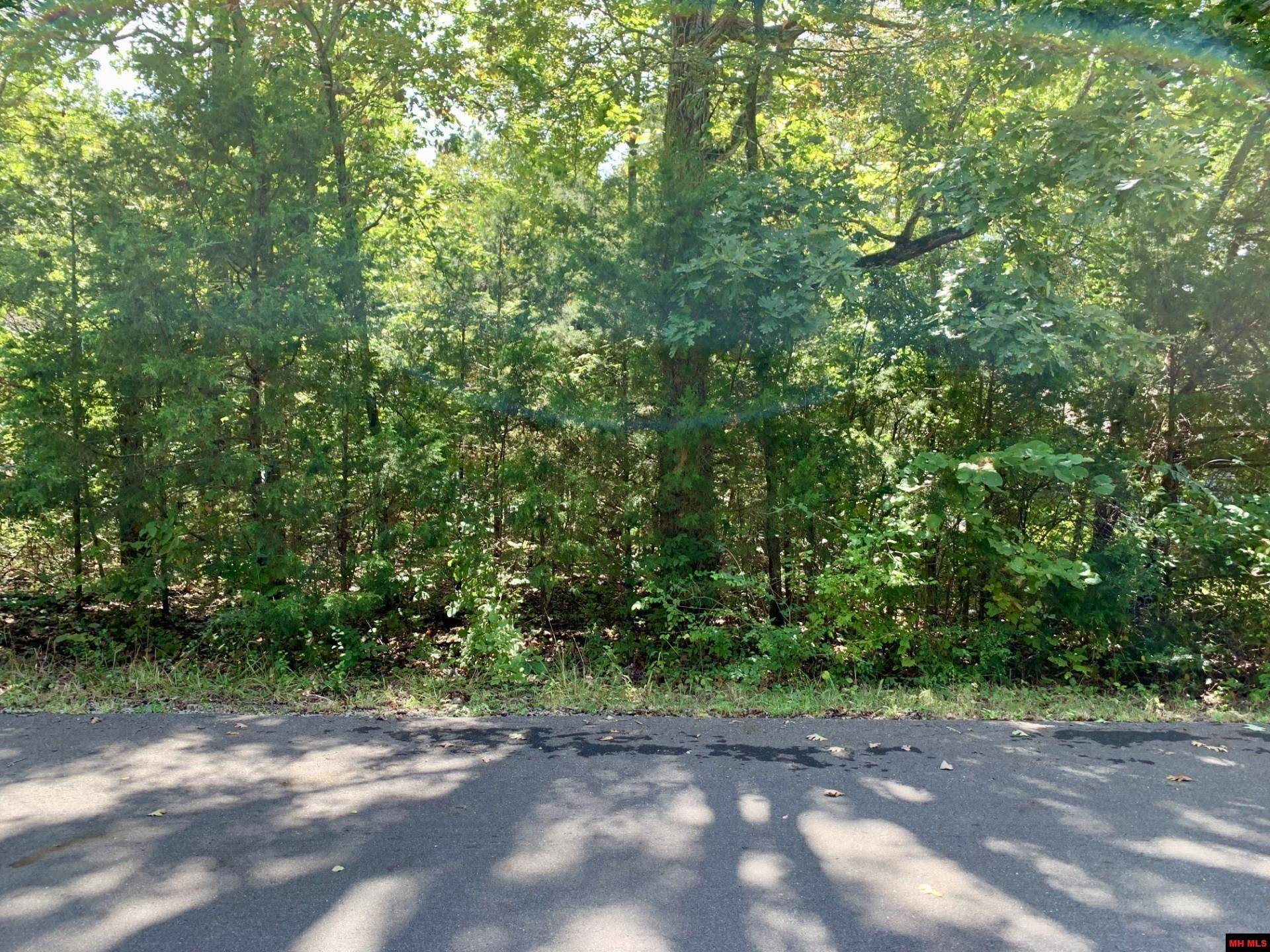 Lot 8-10 MAPLE AVENUE, Bull Shoals, AR 72619