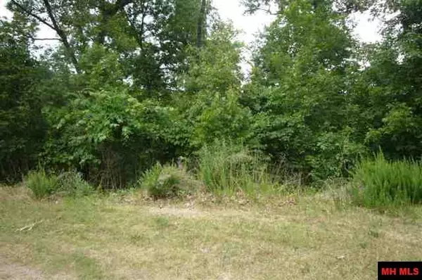 Bull Shoals, AR 72619,Lots 17 & 161 COUNTRY CLUB DRIVE