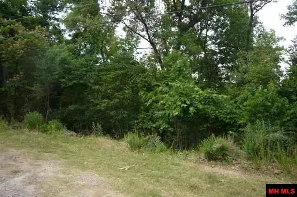 Bull Shoals, AR 72619,Lots 17 & 161 COUNTRY CLUB DRIVE