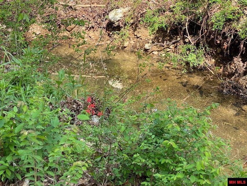 Mammoth Spring, AR 72554-000,001-00888-000 MOONLIGHT ROAD