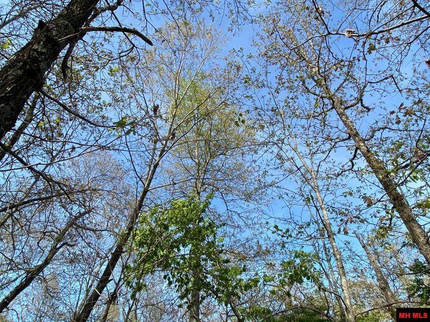 Mammoth Spring, AR 72554-000,001-00890-000 MOONLIGHT ROAD