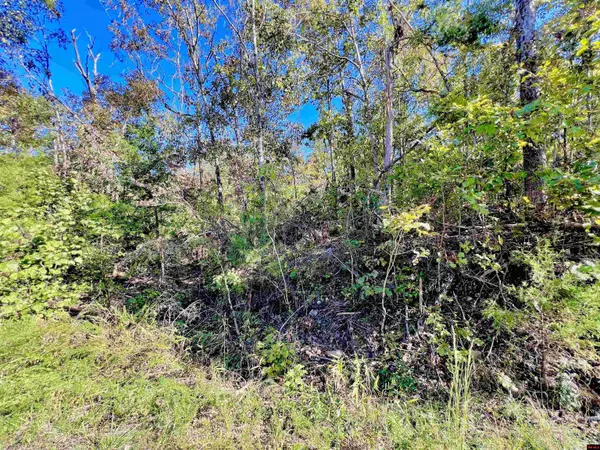 Briarcliff, AR 72653,Lots 438 & 439 CANMORE