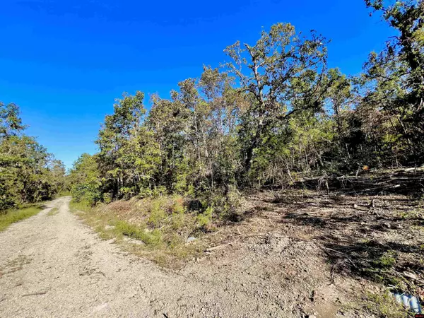 Briarcliff, AR 72653,Lots 438 & 439 CANMORE