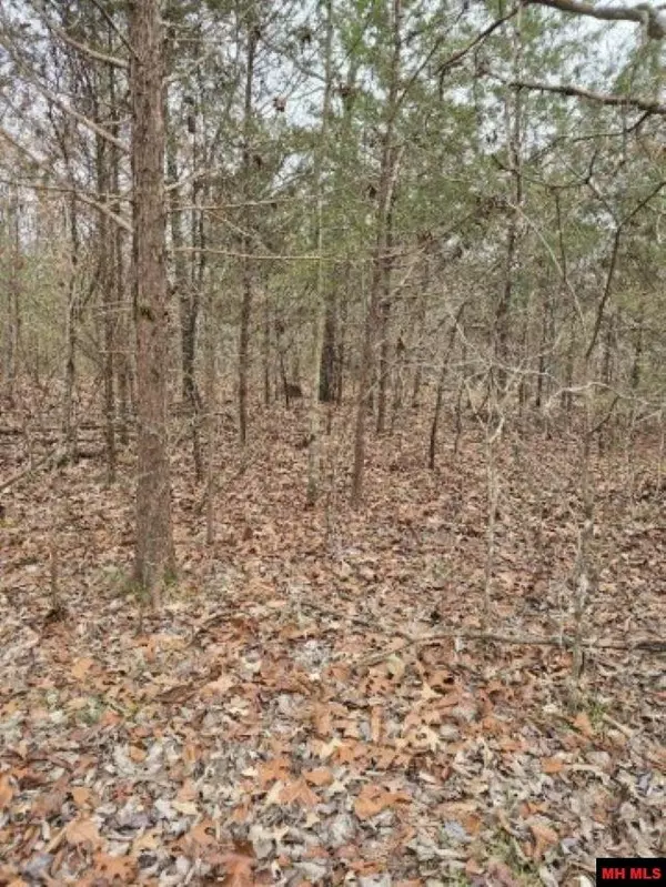 Elizabeth, AR 72531,554 CR 93