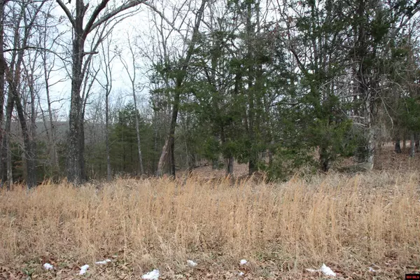 Flippin, AR 72634,Lot 22 JEB ROAD