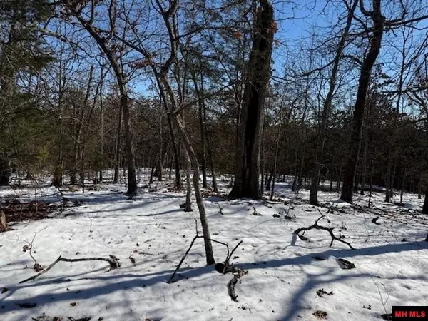 4825 HWY 87 NORTH, Gepp, AR 72538