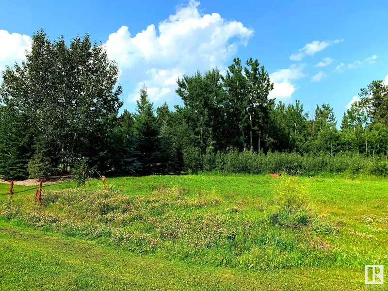 15 Grandview Meadows, Rural Wetaskiwin County, AB T0C 2V0